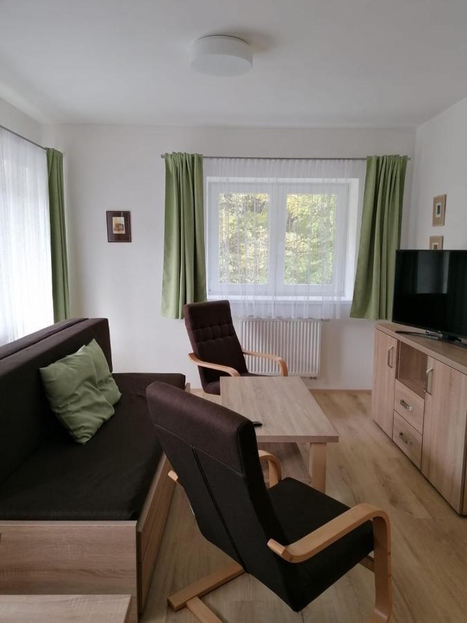 68 Horni Apartment *